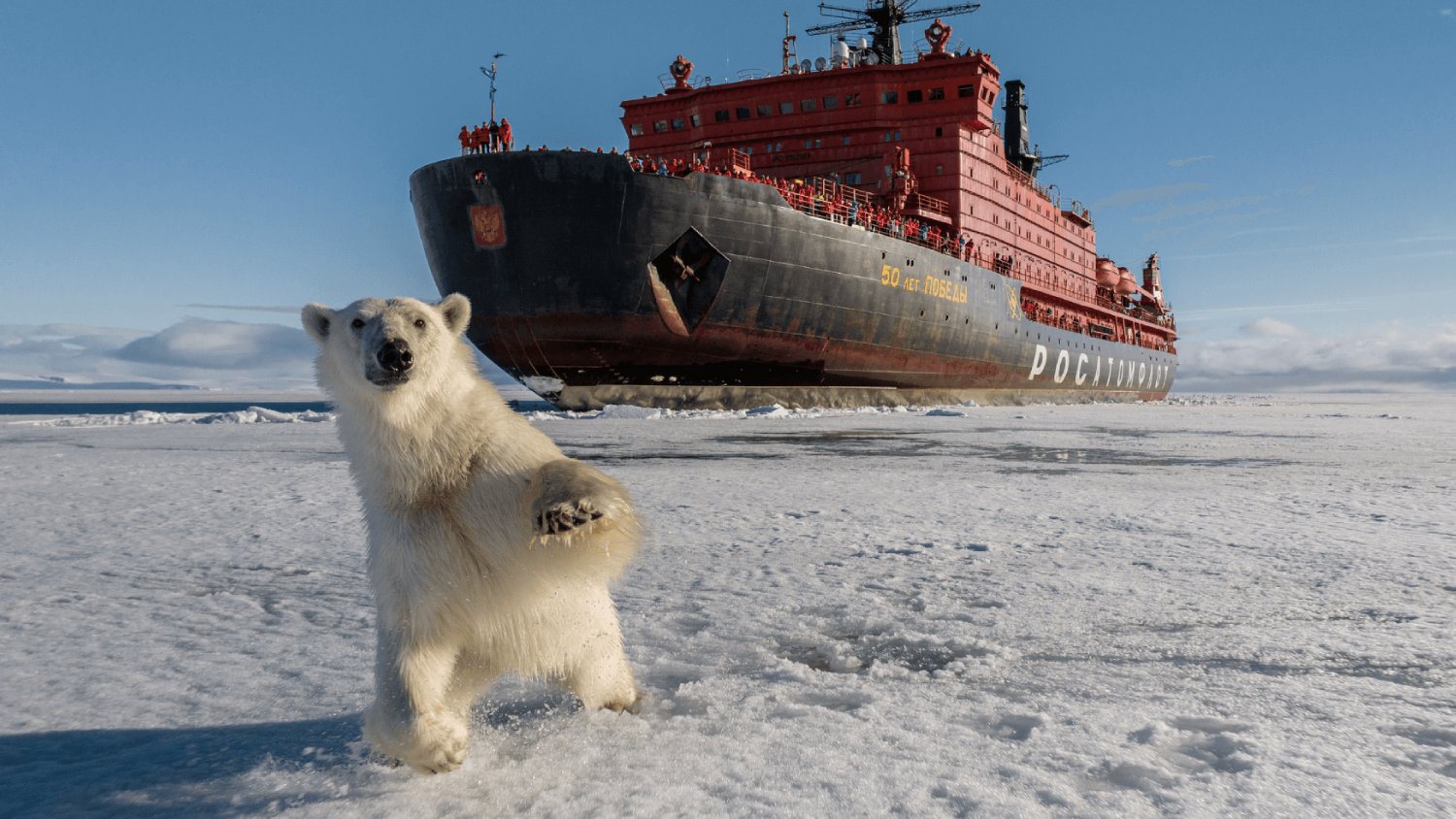 Polar Travel Club